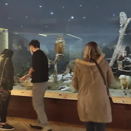 Lejlighed Tsikaris Boutique