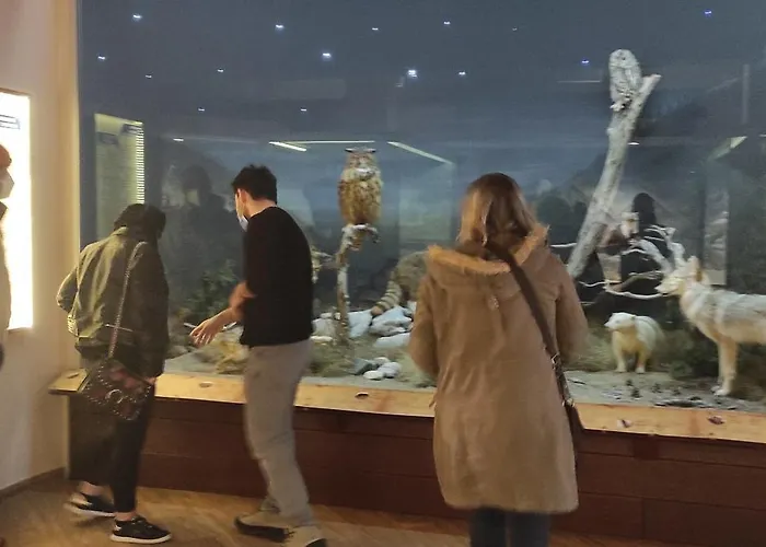 Apartment Tsikaris Boutique